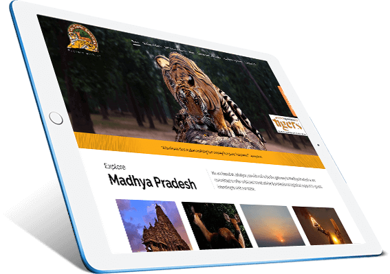 E-Commerce, Magento, WordPress